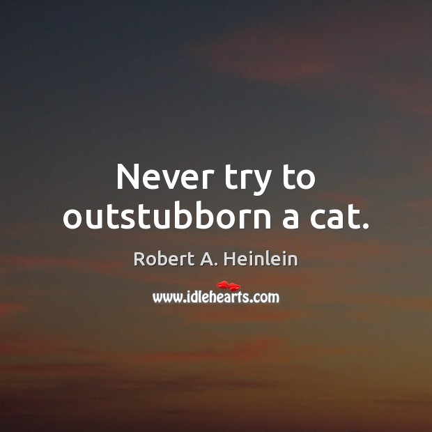 Never try to outstubborn a cat. Robert A. Heinlein Picture Quote