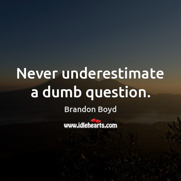 Never underestimate a dumb question. Brandon Boyd Picture Quote