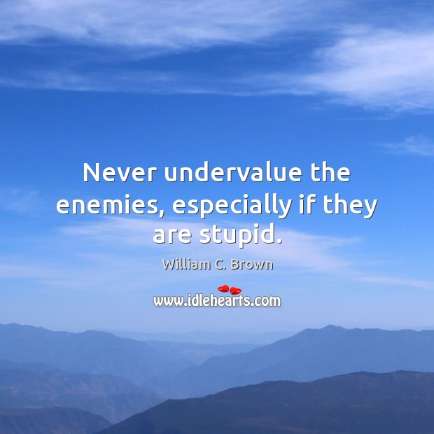 Never undervalue the enemies, especially if they are stupid. William C. Brown Picture Quote