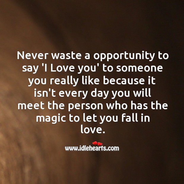 Never waste a opportunity to say “I love you” Opportunity Quotes Image