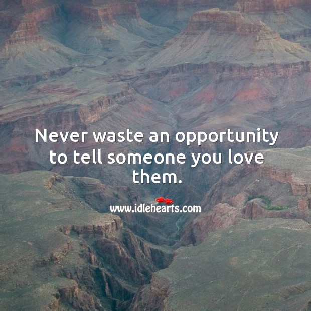 Never waste an opportunity to tell someone you love them. Opportunity Quotes Image