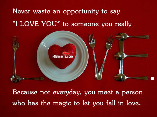 Never waste an opportunity to say “I love you” Opportunity Quotes Image