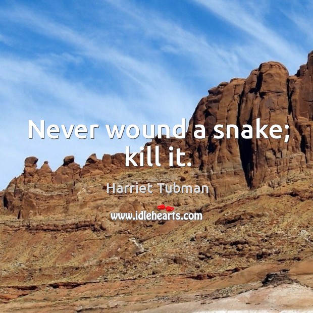 Never wound a snake; kill it. Harriet Tubman Picture Quote