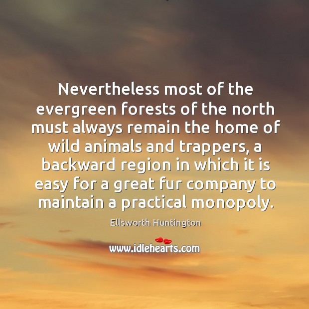 Nevertheless most of the evergreen forests of the north must always remain the home of wild animals and trappers Ellsworth Huntington Picture Quote