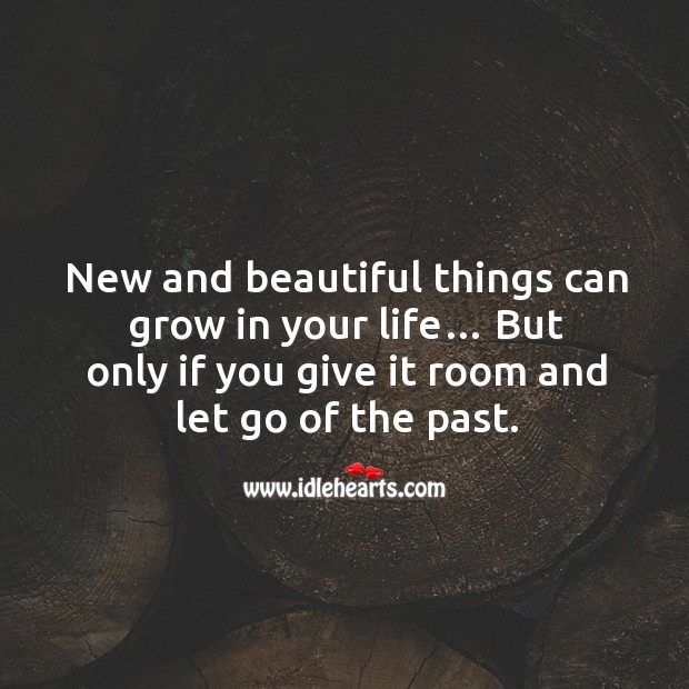 New and beautiful things can grow in your life… but only if you give it room and let go of the past. Image