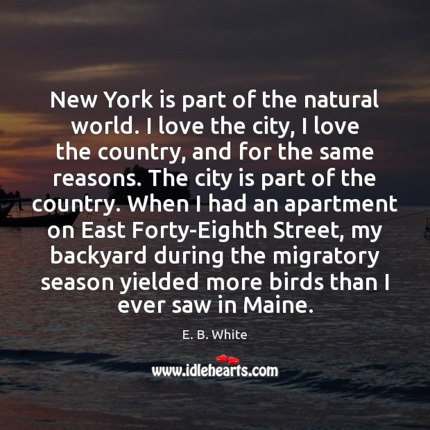 New York is part of the natural world. I love the city, E. B. White Picture Quote