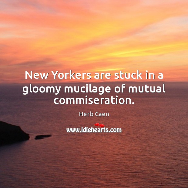 New Yorkers are stuck in a gloomy mucilage of mutual commiseration. Herb Caen Picture Quote
