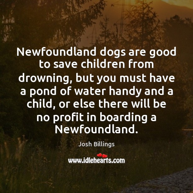 Newfoundland dogs are good to save children from drowning, but you must Image