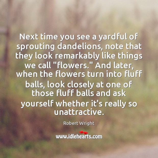 Next time you see a yardful of sprouting dandelions, note that they Image