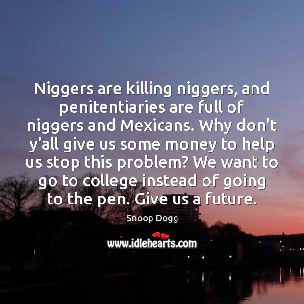 Niggers are killing niggers, and penitentiaries are full of niggers and Mexicans. Image