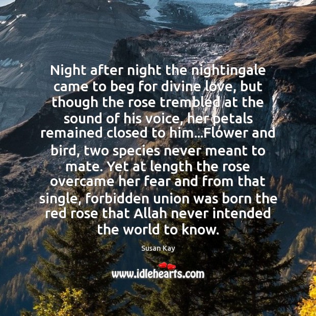 Night after night the nightingale came to beg for divine love, but Susan Kay Picture Quote
