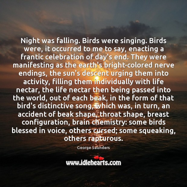 Night was falling. Birds were singing. Birds were, it occurred to me George Saunders Picture Quote