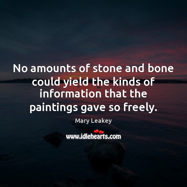 No amounts of stone and bone could yield the kinds of information Mary Leakey Picture Quote
