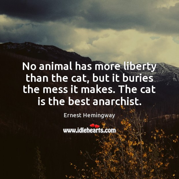 No animal has more liberty than the cat, but it buries the Ernest Hemingway Picture Quote