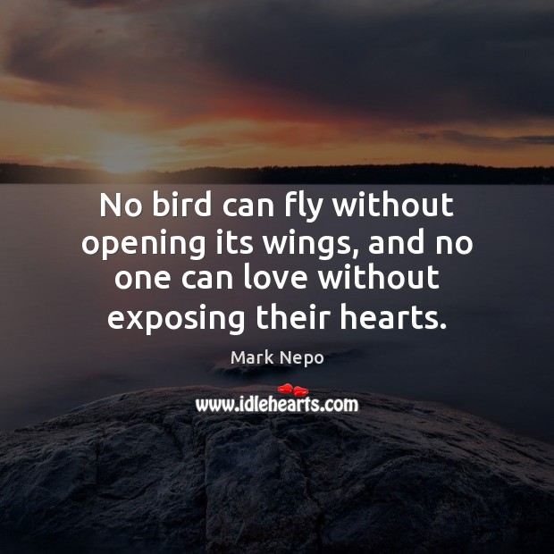No bird can fly without opening its wings, and no one can Mark Nepo Picture Quote