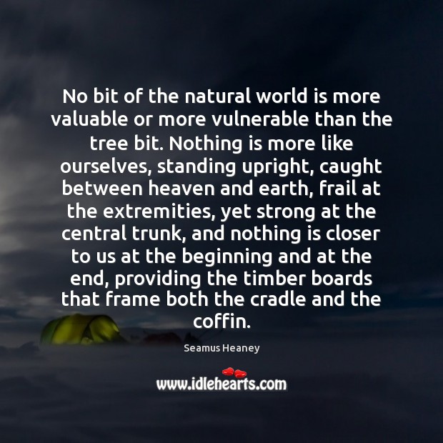 No bit of the natural world is more valuable or more vulnerable Seamus Heaney Picture Quote