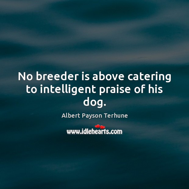 No breeder is above catering to intelligent praise of his dog. Image