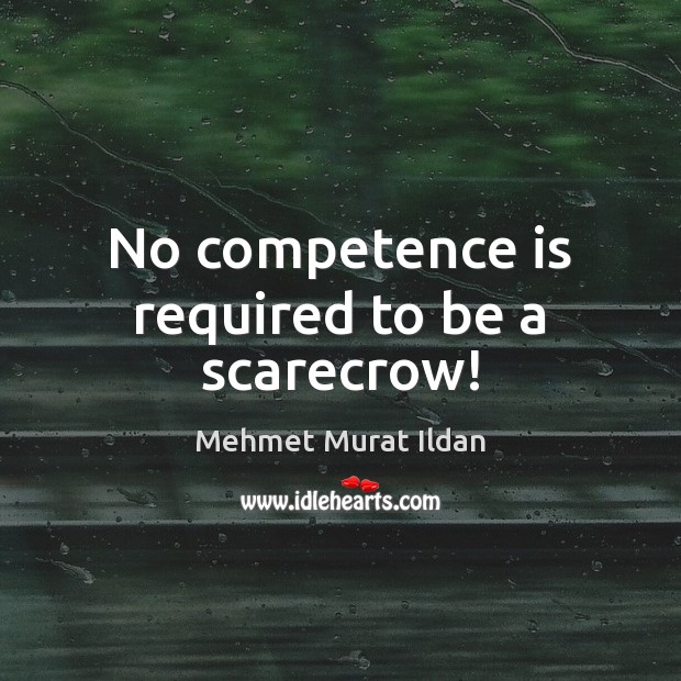 No competence is required to be a scarecrow! Image