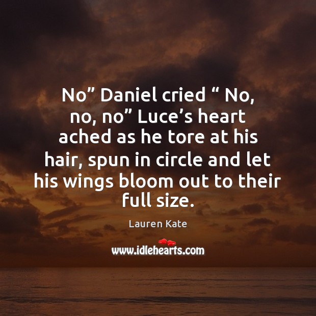 No” Daniel cried “ No, no, no” Luce’s heart ached as he Lauren Kate Picture Quote