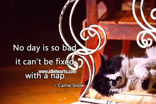 No day is so bad it can’t be fixed with a nap. Carrie P. Snow Picture Quote