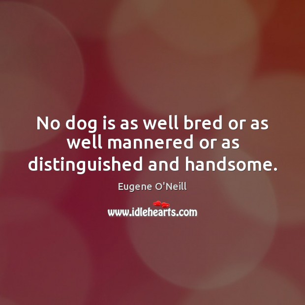 No dog is as well bred or as well mannered or as distinguished and handsome. Eugene O’Neill Picture Quote