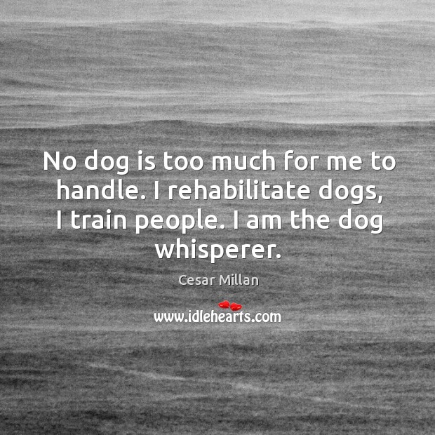 No dog is too much for me to handle. I rehabilitate dogs, Cesar Millan Picture Quote