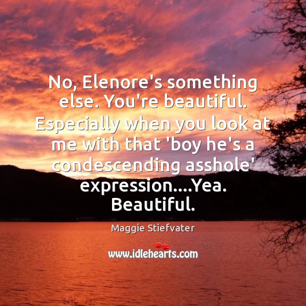 No, Elenore’s something else. You’re beautiful. Especially when you look at me Maggie Stiefvater Picture Quote