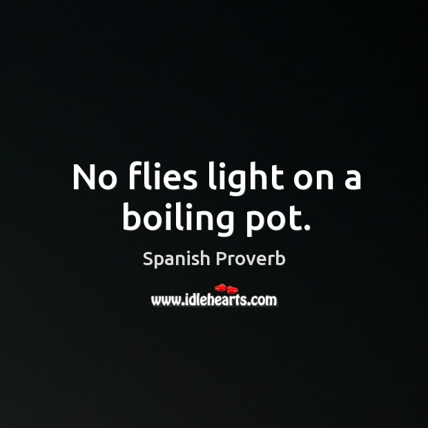 No flies light on a boiling pot. Image