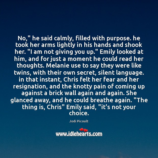 No,” he said calmly, filled with purpose. he took her arms lightly Jodi Picoult Picture Quote