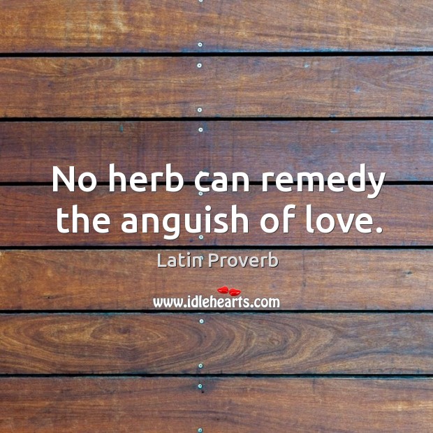 No herb can remedy the anguish of love. Latin Proverbs Image