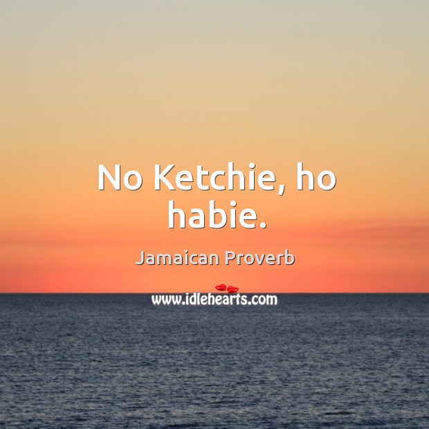 No ketchie, ho habie. Jamaican Proverbs Image