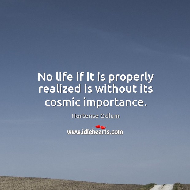 No life if it is properly realized is without its cosmic importance. Hortense Odlum Picture Quote