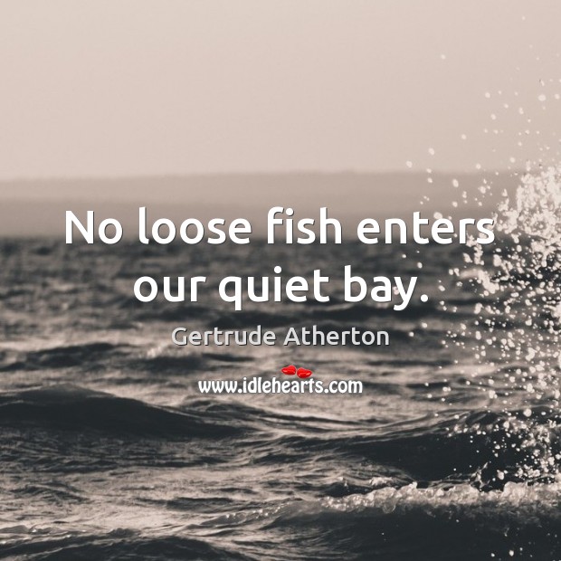 No loose fish enters our quiet bay. Gertrude Atherton Picture Quote