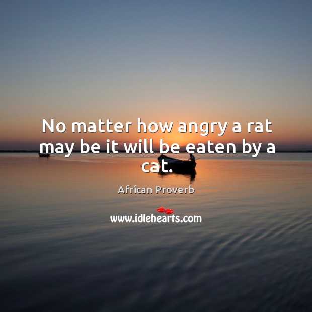 No matter how angry a rat may be it will be eaten by a cat. Image