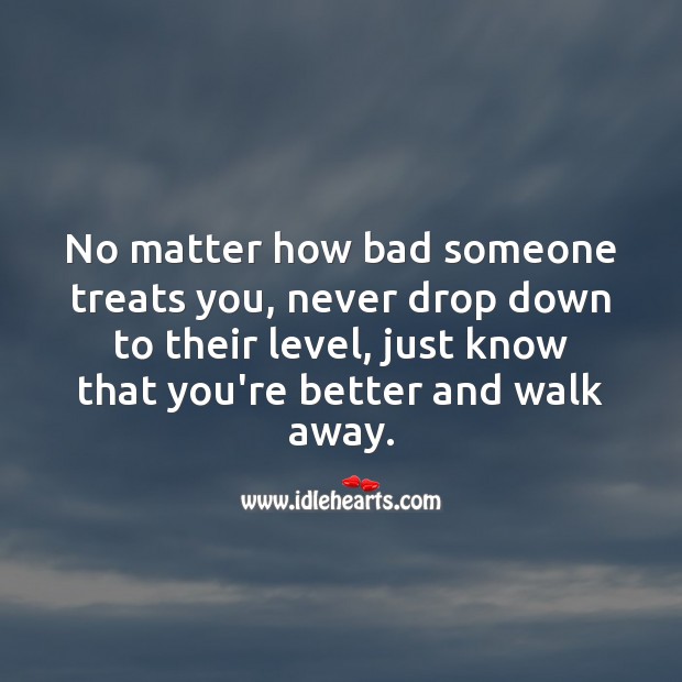 No matter how bad someone treats you, never drop down to their level Image