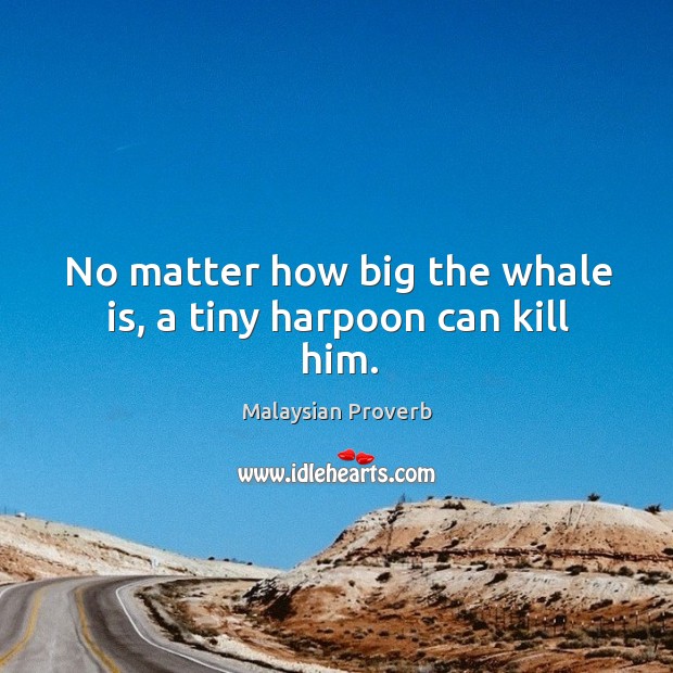 No matter how big the whale is, a tiny harpoon can kill him. Image