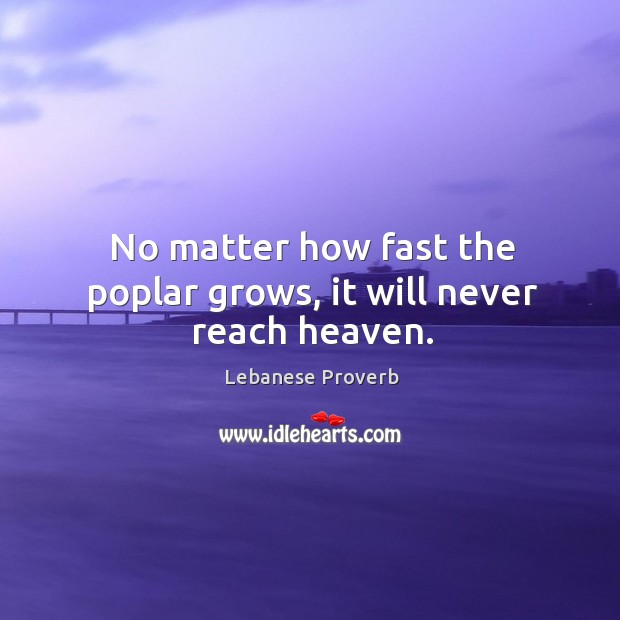 No matter how fast the poplar grows, it will never reach heaven. Lebanese Proverbs Image