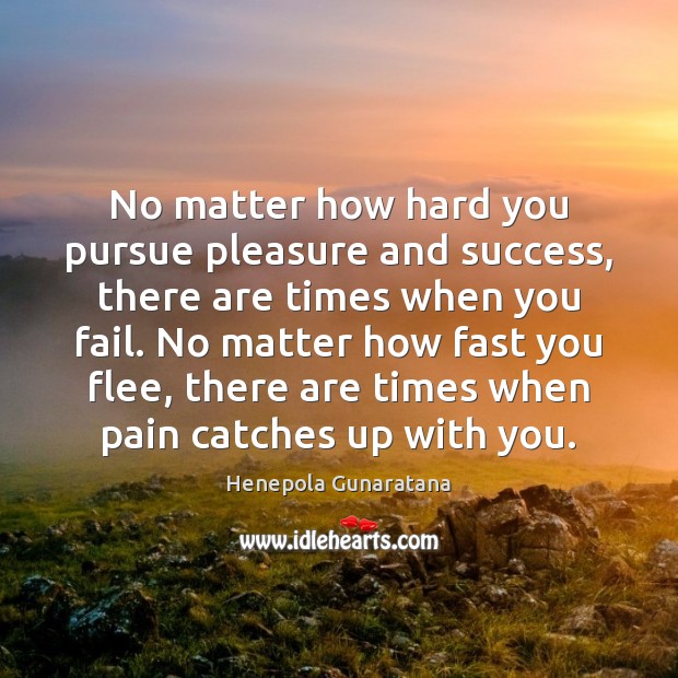 No matter how hard you pursue pleasure and success, there are times Henepola Gunaratana Picture Quote