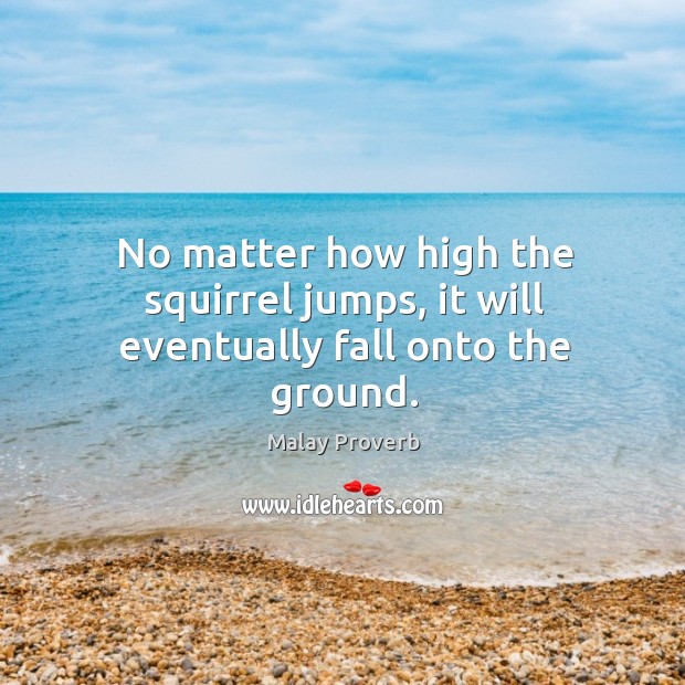 No matter how high the squirrel jumps, it will eventually fall onto the ground. Malay Proverbs Image