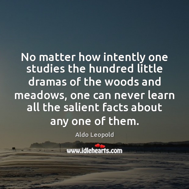 No matter how intently one studies the hundred little dramas of the Image