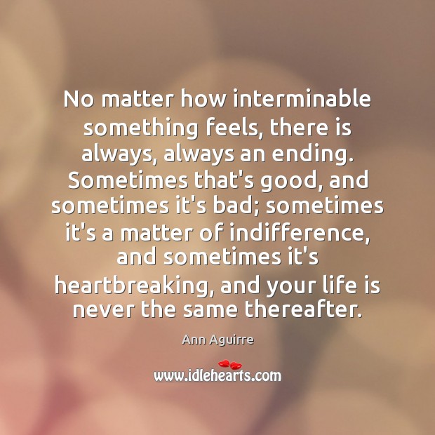 No matter how interminable something feels, there is always, always an ending. Ann Aguirre Picture Quote