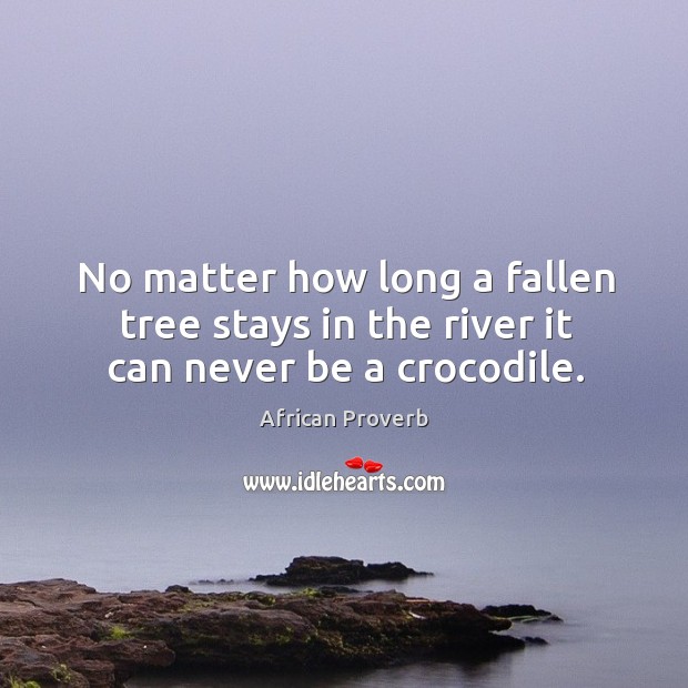 No matter how long a fallen tree stays in the river it can never be a crocodile. Image