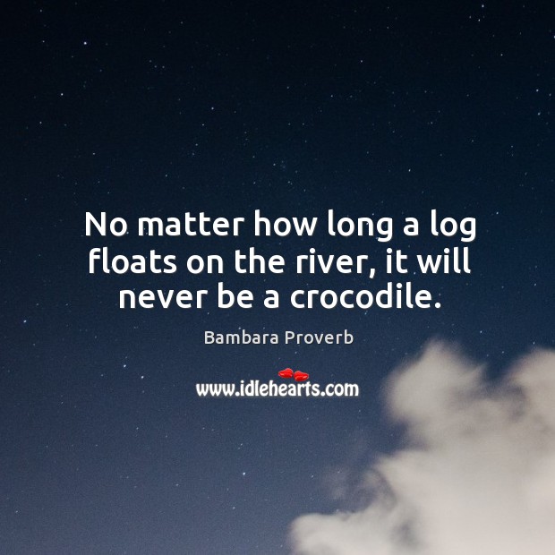 No matter how long a log floats on the river, it will never be a crocodile. Bambara Proverbs Image