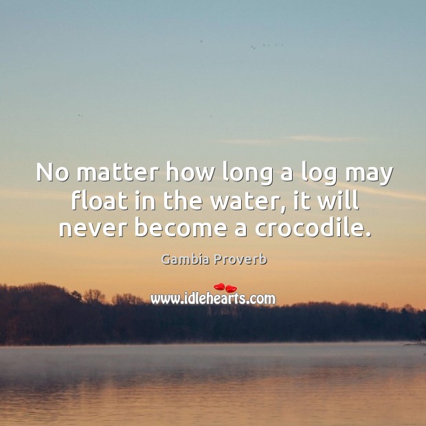 No matter how long a log may float in the water, it will never become a crocodile. Image