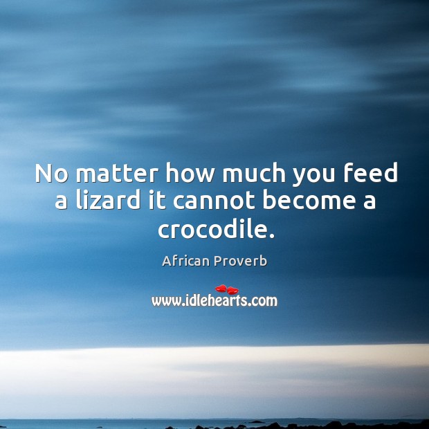 No matter how much you feed a lizard it cannot become a crocodile. Image