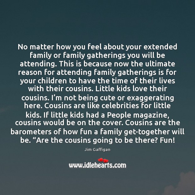 No matter how you feel about your extended family or family gatherings Jim Gaffigan Picture Quote