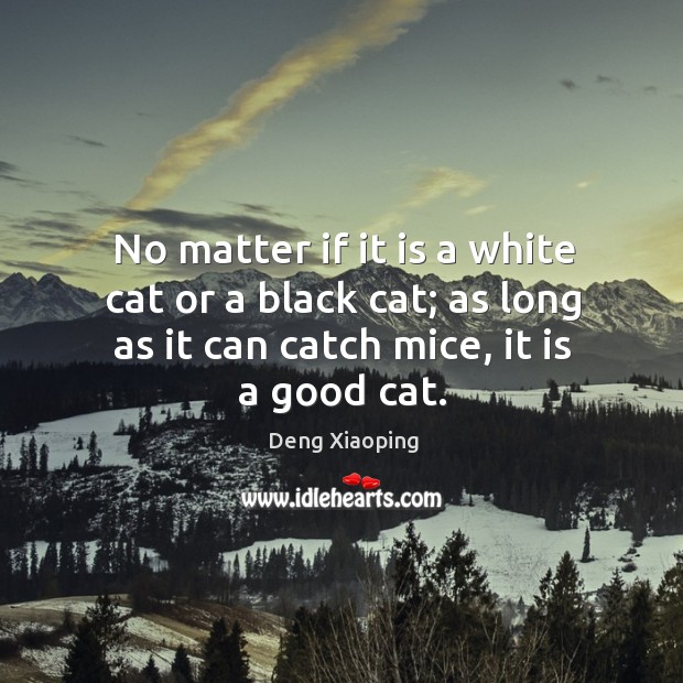 No matter if it is a white cat or a black cat; Deng Xiaoping Picture Quote