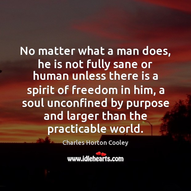 No matter what a man does, he is not fully sane or Charles Horton Cooley Picture Quote