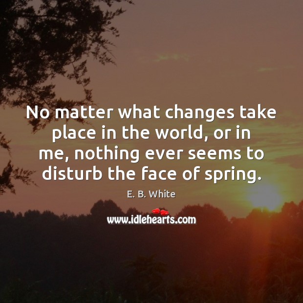 No matter what changes take place in the world, or in me, E. B. White Picture Quote