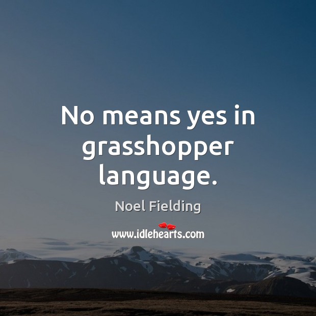 No means yes in grasshopper language. Noel Fielding Picture Quote